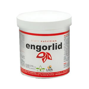 Engorlide