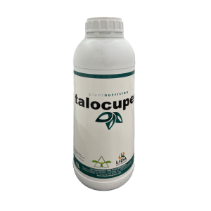 Talocuper