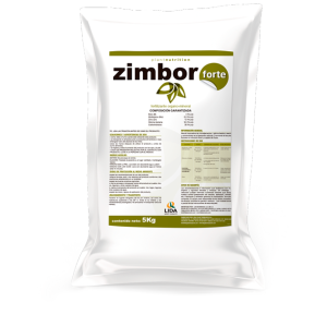 ZIMBOR FORTE